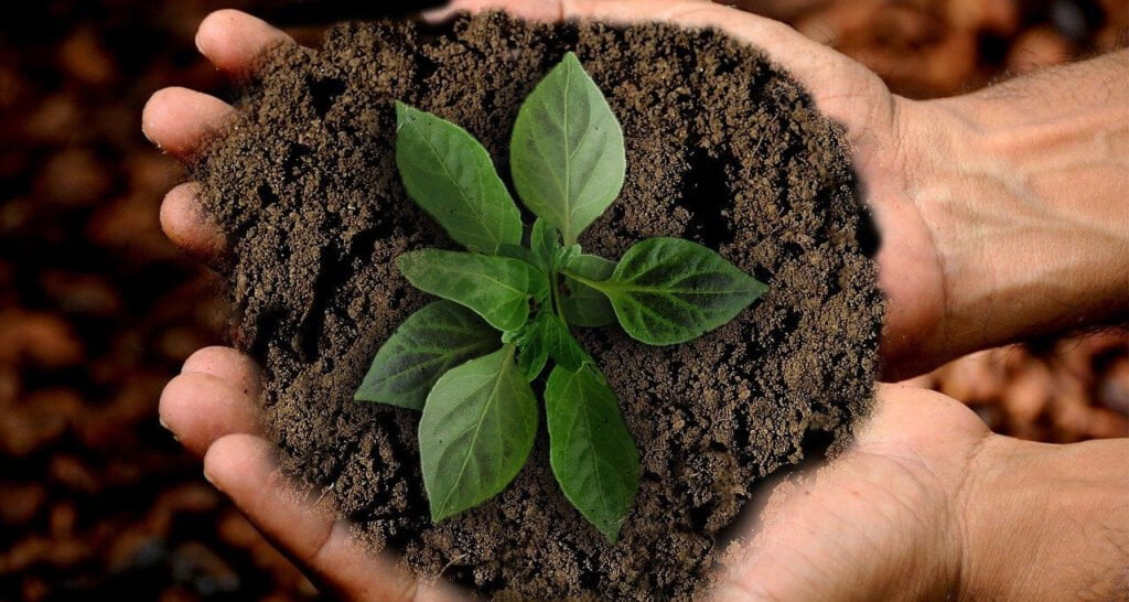 Sustentabilidade e decoração: as maiores tendências 1 sustentabilidade ecomaquinas
