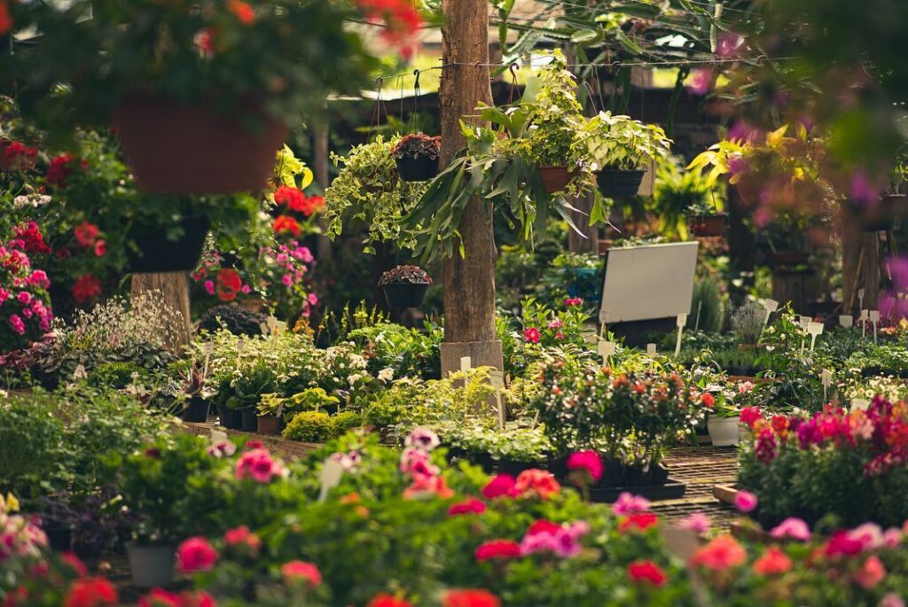 Arte Floral: Criando Buquês Personalizados que Contam uma História 1 floricultura parque