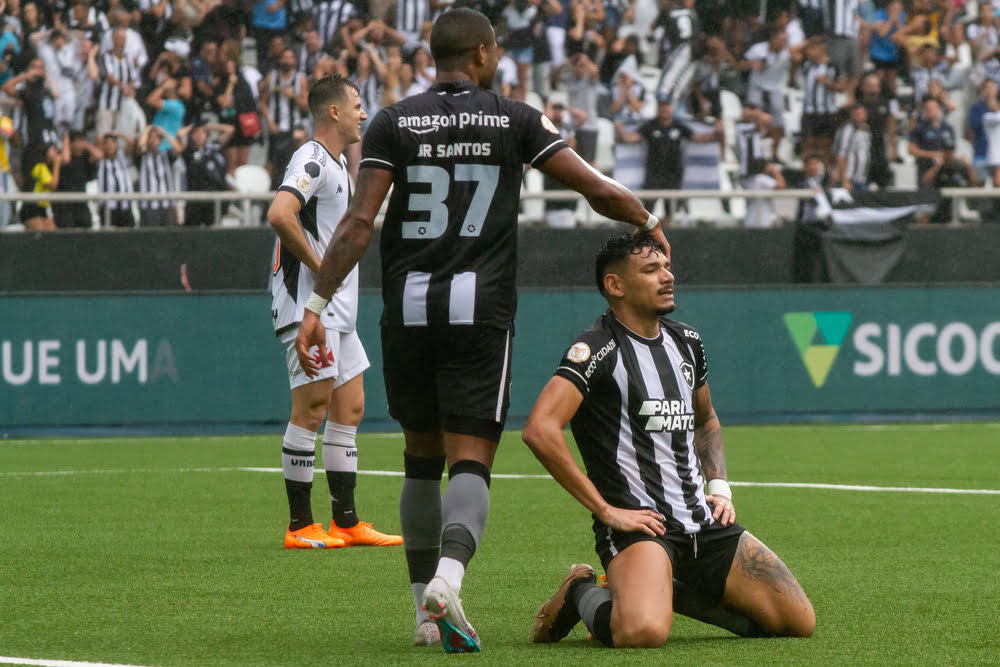 botafogo futebol