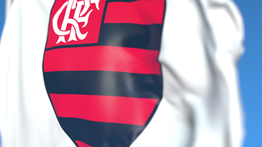 Veja Chance do Flamengo ser Campeão Brasileiro em 2025 1 flamengo